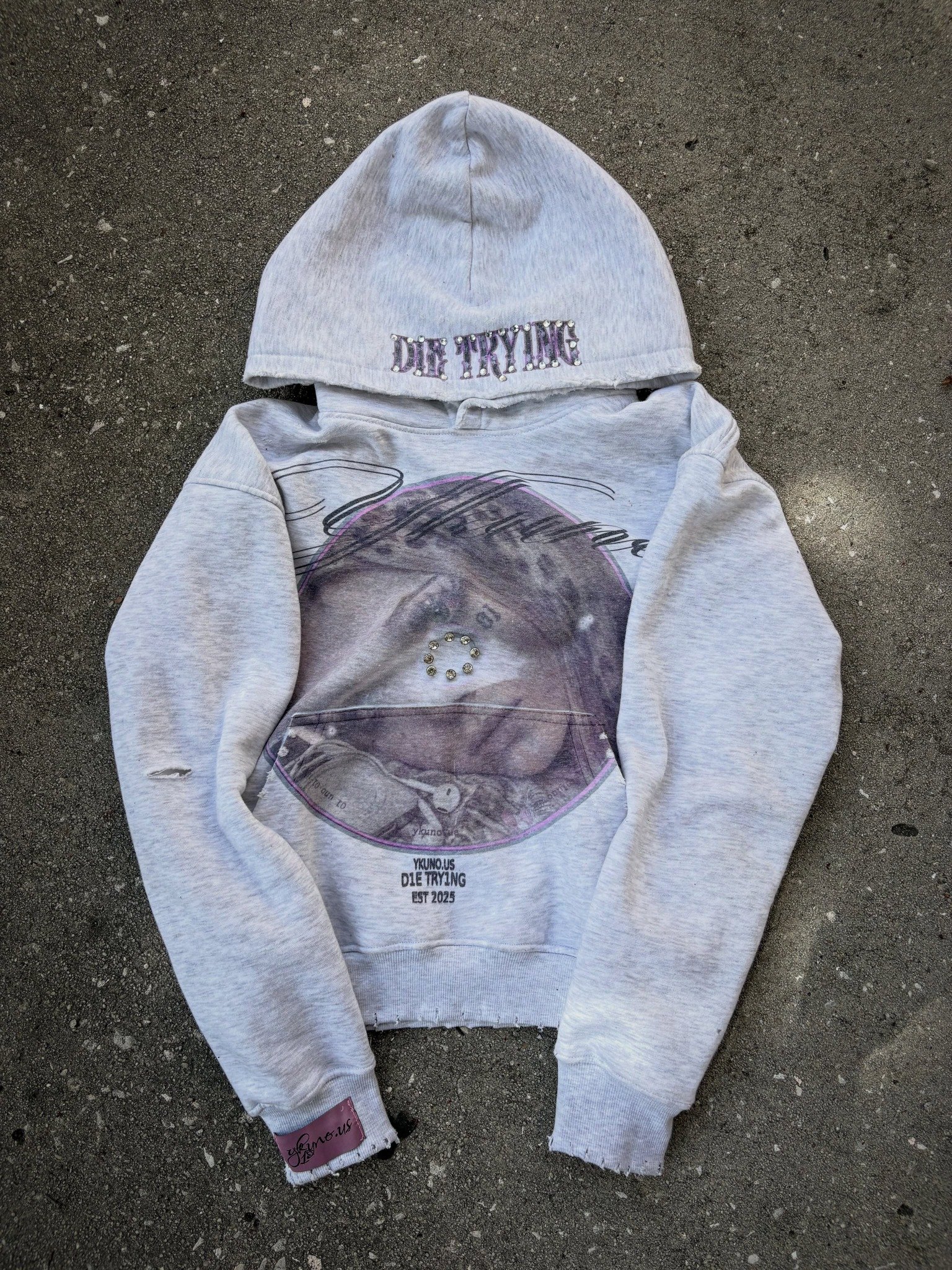 714263773_17891230617509195_7052187134555026652_n (1) Ykuno Grey Die Trying Graphic Hoodie